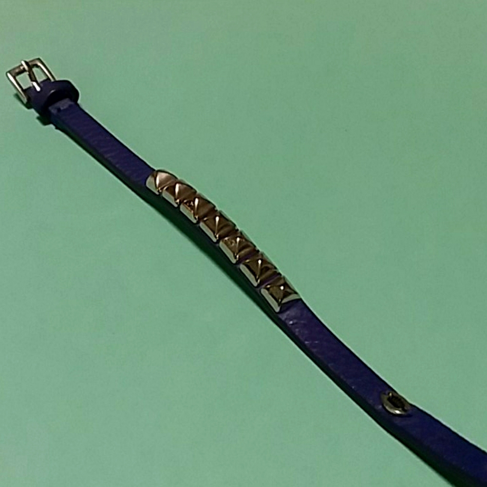 🔥🔥Juicy Couture Petite Studded  (d. Purple)